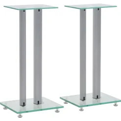 vidaXL Electrónica-Soportes altavoz vidrio templado diseño 2 pilares plata 2 uds