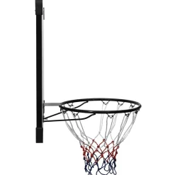 vidaXL Tablero de baloncesto policarbonato transparente 106x69x3 cm Online