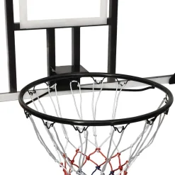 vidaXL Tablero de baloncesto policarbonato transparente 106x69x3 cm Online