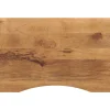 vidaXL Accesorios Para Mesas-Tablero de escritorio con curva madera mango rugosa 90x60x2,5cm