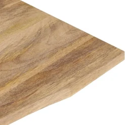 vidaXL Tablero de escritorio con curva madera mango rugosa 90x60x2,5cm
