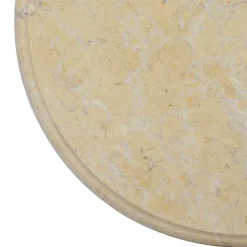 vidaXL Accesorios Para Mesas-Tablero para mesa mármol color Ø40x2,5 cm