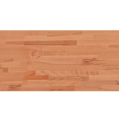 vidaXL Accesorios Para Mesas-Tablero rectangular de madera maciza de haya 100x50x1,5 cm