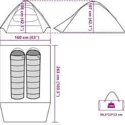 vidaXL Tienda de campaña iglú para 2 personas impermeable Verde Clearance