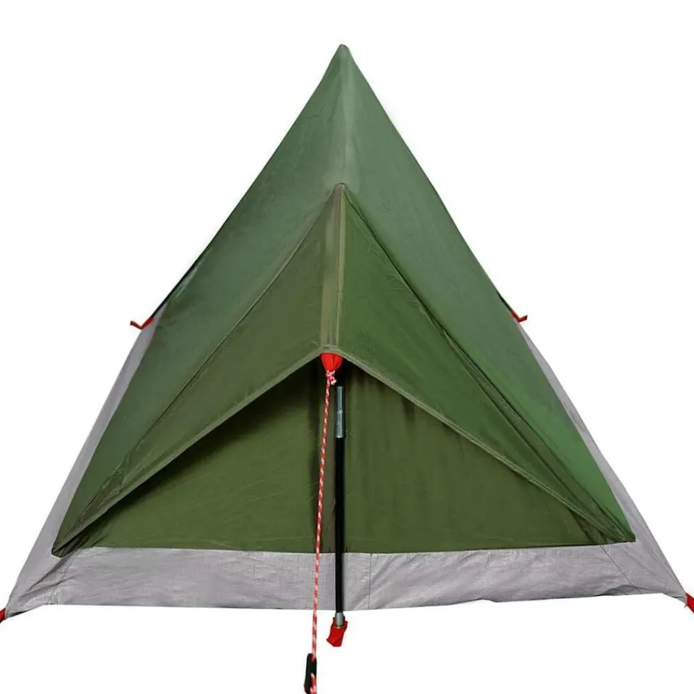 vidaXL Actividades Al Aire Libre-Tienda de campaña para 2 personas impermeable