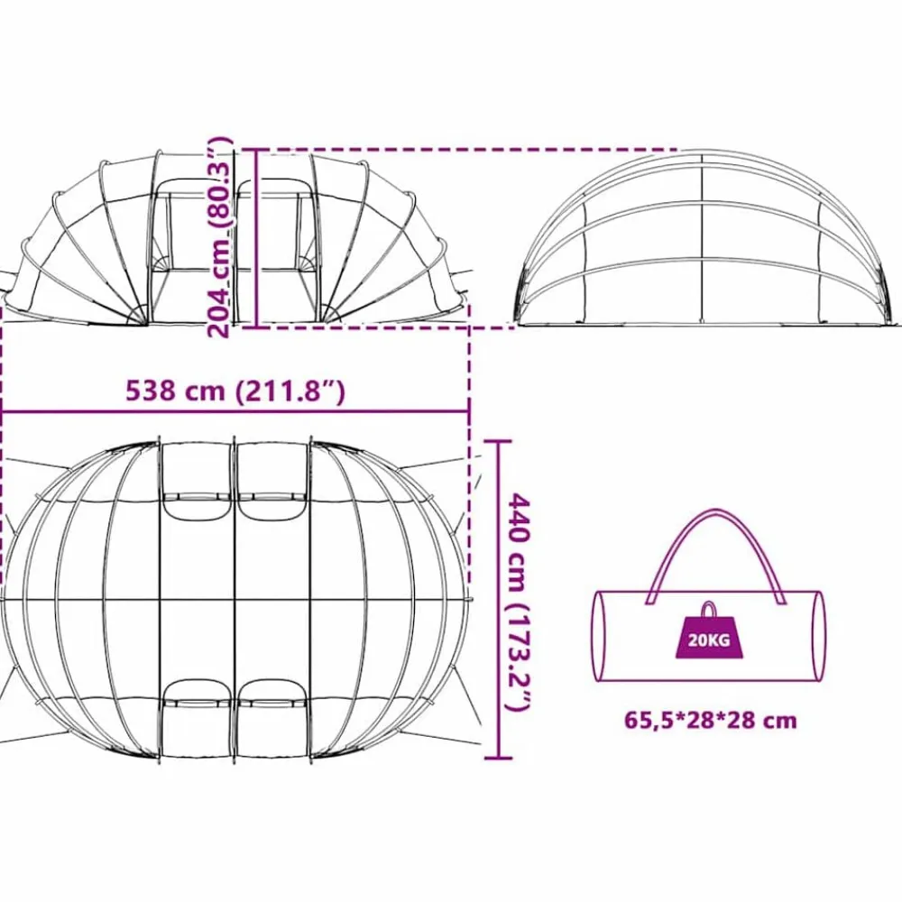 vidaXL Tienda de piscina tipo cúpula 538 x 440 x 204 cm Transparente Online