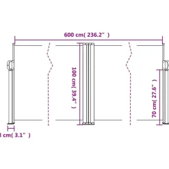 vidaXL Jardín-Toldo lateral retráctil 100x600 cm