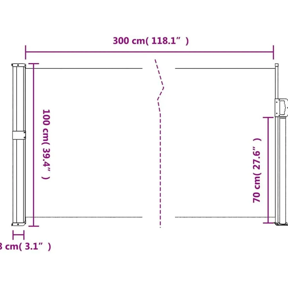 vidaXL Jardín-Toldo lateral retráctil 100x300 cm