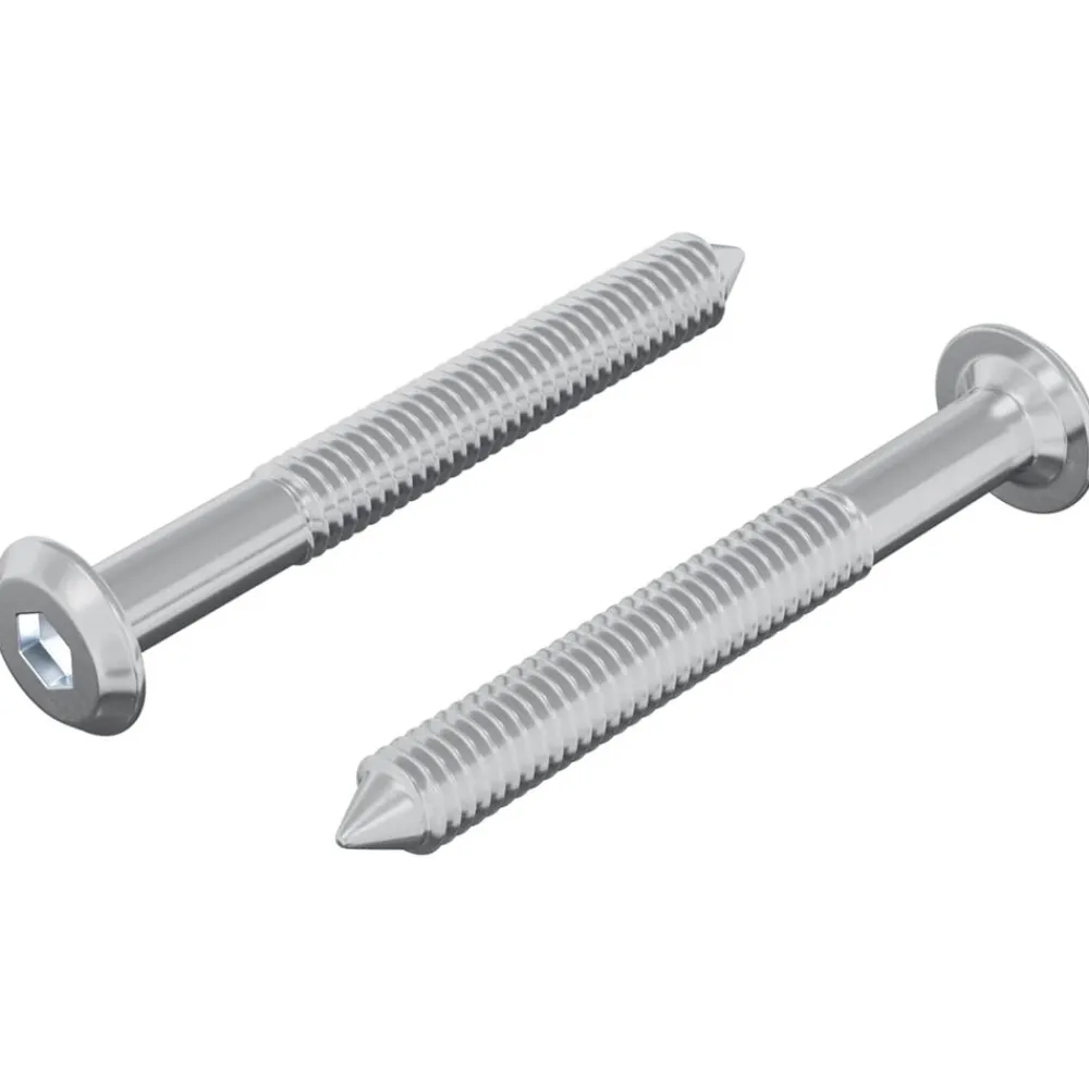 vidaXL Accesorios De Bricolaje-Tornillo 2 pcs Plateado M6 x 50 mm Acero
