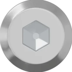 vidaXL Accesorios De Bricolaje-Tornillo 2 pcs Plateado M6 x 50 mm Acero