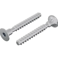 vidaXL Accesorios De Bricolaje-Tornillo 2 pcs Recubierto de zinc 5 x 40 mm Hierro