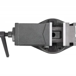 vidaXL Tornillo de banco basculante de 2 ejes 100 mm Online