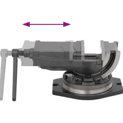 vidaXL Tornillo de banco basculante de 2 ejes 100 mm Online