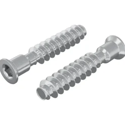 vidaXL Accesorios De Bricolaje-Tornillo de cabeza cap 2 pcs Plateado M7 x 40 mm Acero
