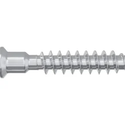 vidaXL Accesorios De Bricolaje-Tornillo de cabeza cap 2 pcs Plateado M7 x 40 mm Acero