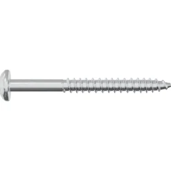 vidaXL Accesorios De Bricolaje-Tornillo de Madera 2 pcs Plateado 9,8 x 53 mm Acero