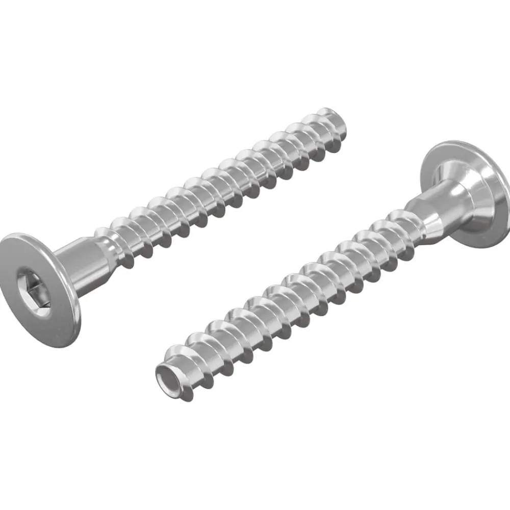 vidaXL Tornillos Confirmat 2 pcs Plateado Ø5 x 40 mm Metal Sale