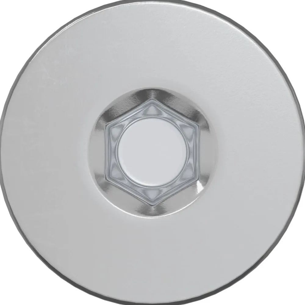 vidaXL Tornillos Confirmat 2 pcs Plateado Ø5 x 40 mm Metal Sale