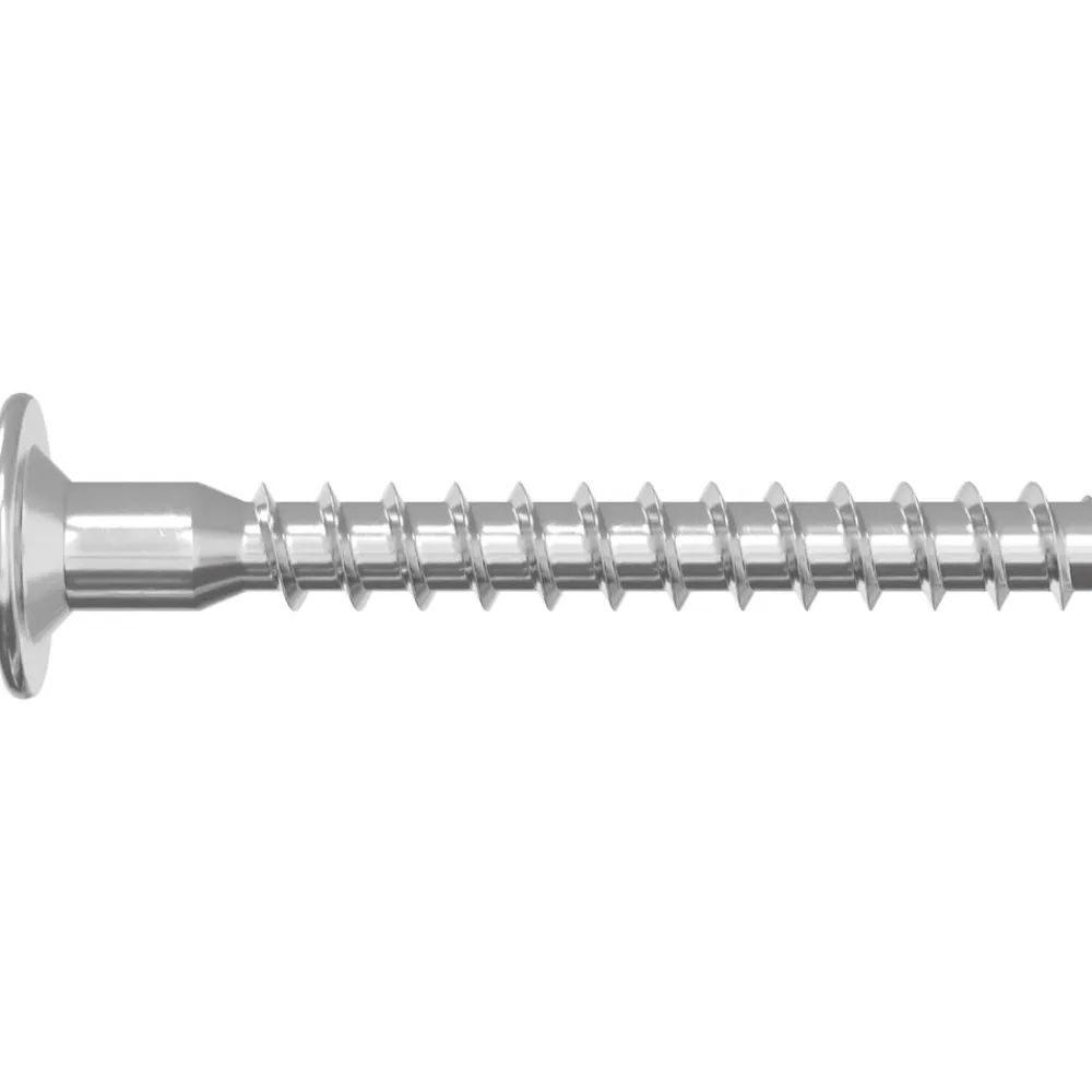 vidaXL Tornillos Confirmat 2 pcs Plateado Ø5 x 40 mm Metal Sale