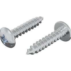 vidaXL Accesorios De Bricolaje-Tornillos de Madera 2 pcs Plateado M4 x 20 mm Acero