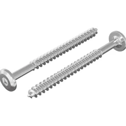 vidaXL Tornillos de Madera 2 pcs Plateado M6 x 70 mm Acero Discount