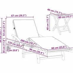 vidaXL Muebles De Jardín-Tumbona 2 pcs Madera de Acacia Sólida