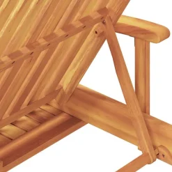 vidaXL Muebles De Jardín-Tumbona 2 pcs Madera de Acacia Sólida