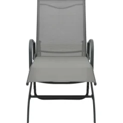 vidaXL Muebles De Jardín-Tumbona de acero y textilene