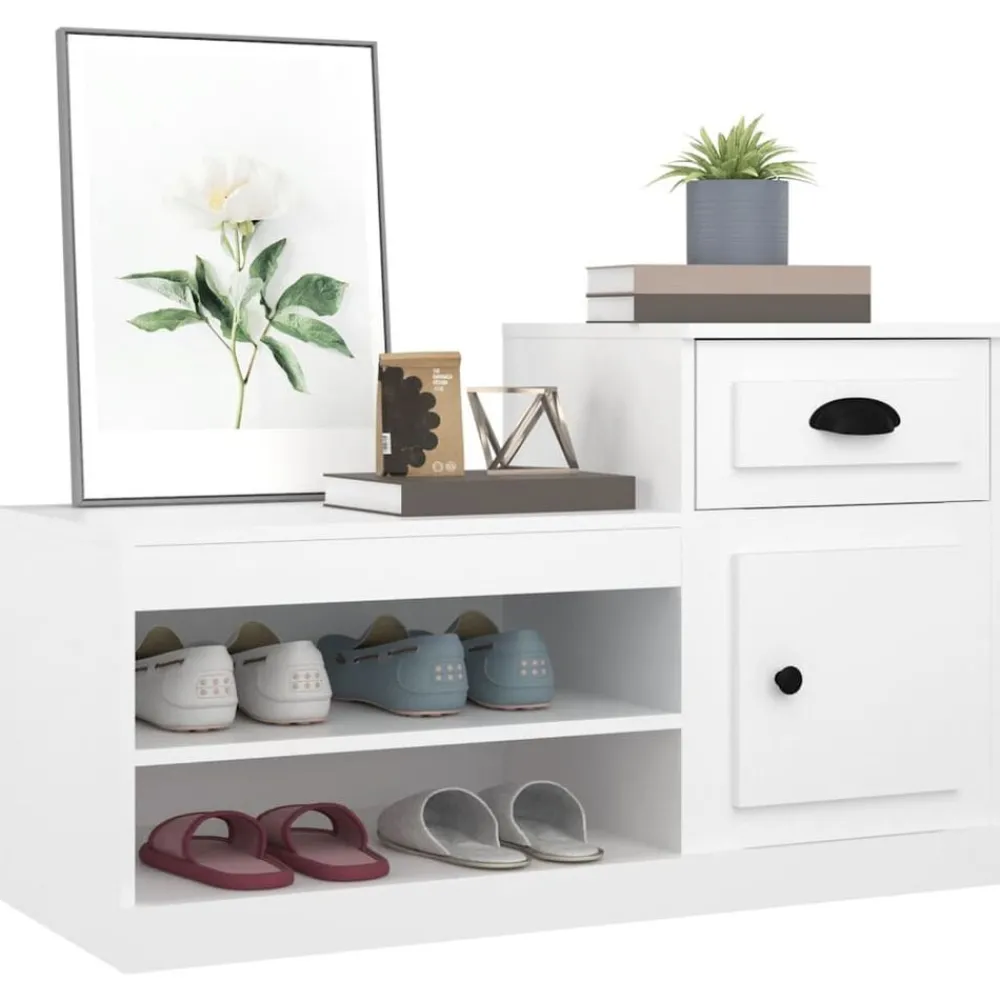 vidaXL Productos Del Hogar-Zapatero madera contrachapada 100x42x60 cm