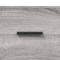 vidaXL Zapatero madera de ingeniería 102x35x55 cm Gris sonoma