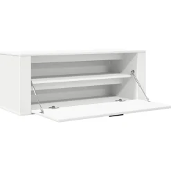 vidaXL Zapatero pared madera contrachapada 100x35x38 cm Blanco New